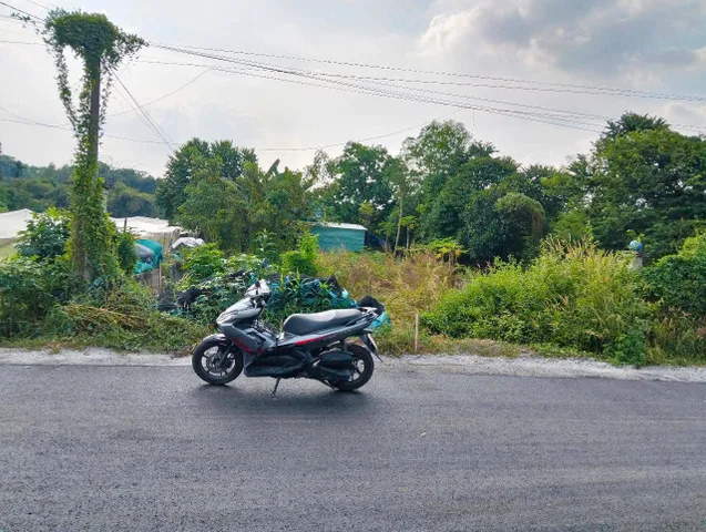 (L567) Đất mặt tiền Đường 220 (1/ Sông Lu), xã Hòa Phú, dt 300m2, thổ 94m2, giá chỉ 3 tỷ 800