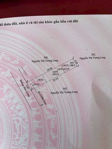 Phú thọ mt nhựa hẻm