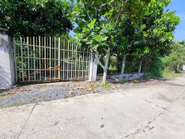 (B442) Đất 1/ đường Trung An, xã Trung An,  dt 1.229m2, thổ cư 1.165m2, giá 8 tỷ