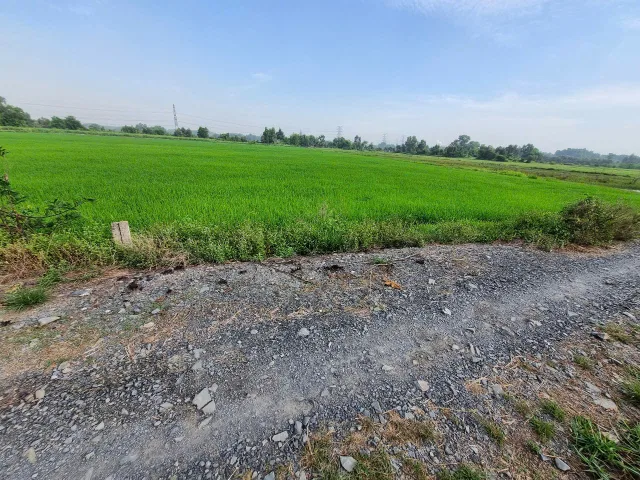(B445) Đất cây lâu năm, xã Phú Hòa Đông, dt 4.792m2, giá 2,6tr/m2