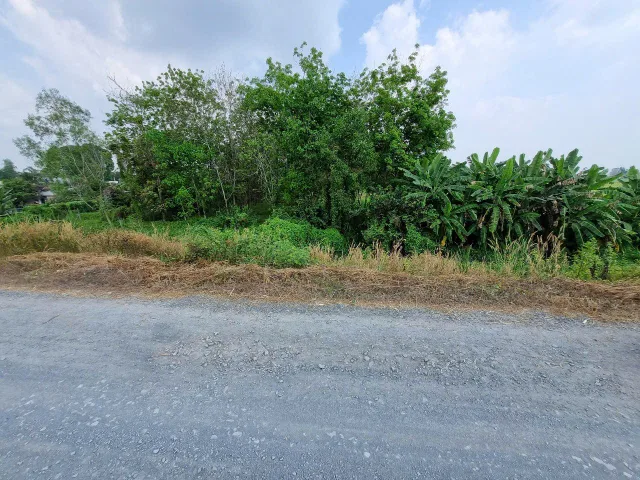 (S545) Đất Kênh Đông, xã Trung Lập Thượng, dt 1.472m2, giá 1 tỷ 750