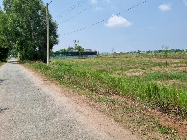 (L347) (Ngưng bán ) Đất mặt tiền Nguyễn Thị Quơ, xã Tân Thạnh Tây, dt 1.352m2, giá 4 tỷ 500