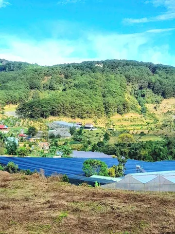 Bán đất view rừng thông khu dân cư xã Tà Nung, ra mặt tiền 725 chỉ 400m