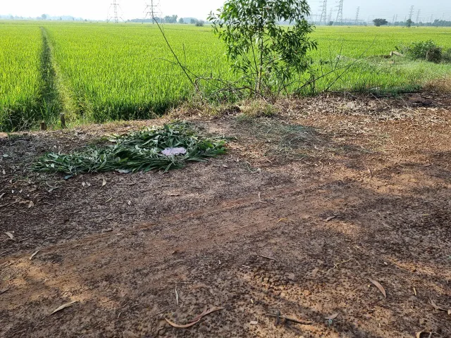 (L583)(ngưng bán)Đất mặt kênh T3, xã Tân Phú Trung, dt 1.592m2, giá chỉ 2 tỷ 050