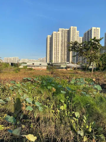 Bán đất vườn Nguyễn Xiển. P Long Thạnh Mỹ. Q9 giá tốt