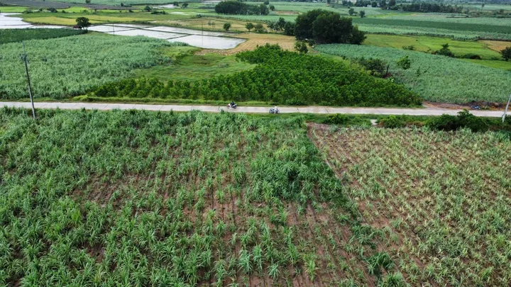 Đất chn buôn sim Ninh Tây Ninh Hòa Khánh Hòa. Diện tích 3946m2 bám đường bê tông 74m. LH 0938156791 hiếu