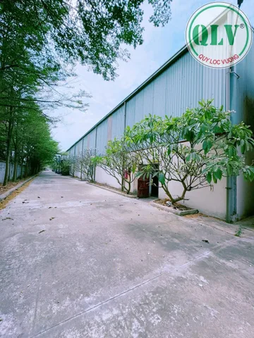 Bán  xưởng 15.000 m2 KCN Mỹ Xuân, Bà Rịa Vũng Tàu