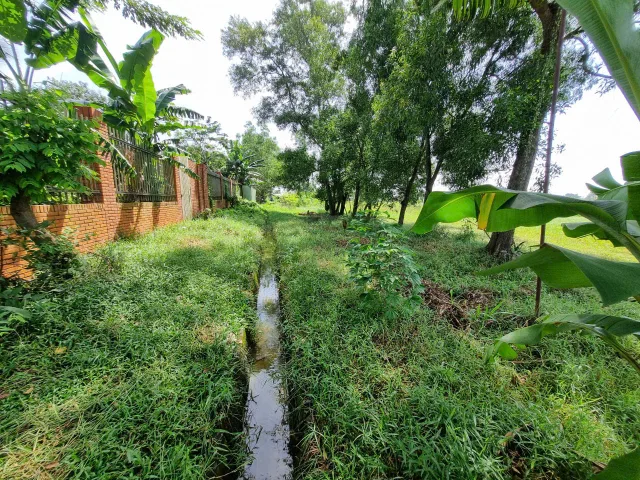 (L385) (Đã bán )  Đất gần đường Bàu Tre, Tân An Hội, dt 1000m2, giá 1 tỷ 100