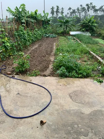 X. Bán đất 71m² giá.  1.15 tỷ tại Xã Lâm Động Huyện Thuỷ Nguyên. liên hệ 0362558882