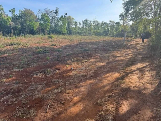 323#Bán đất 1067.1m² 250 triệu tại Xã Ea D'Rơng Huyện Cư M'gar