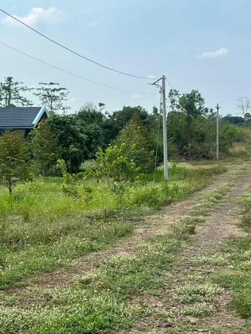 Bán đất 19715.6m² 18 tỷ tại Xã Xuân Hiệp Huyện Xuân Lộc