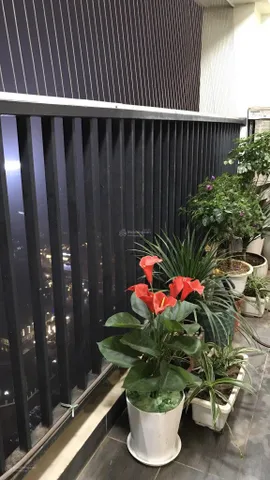 Bán CHCC tại toà N07 Trần Quý Kiên 79m2, 2 ngủ, 2vs giá 5,2 tỷ