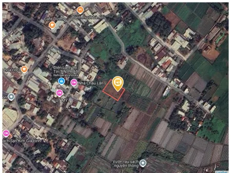 Bán đất 969.1m² tại Phường Tân Bình Thị xã Dĩ An