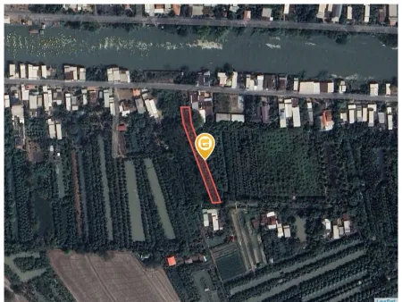 Bán đất 1043.6m² 500 triệu tại Xã Phong Mỹ Huyện Cao Lãnh