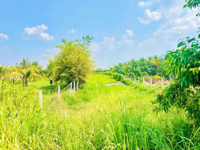 Bán đất nền, 1291 m², Củ Chi