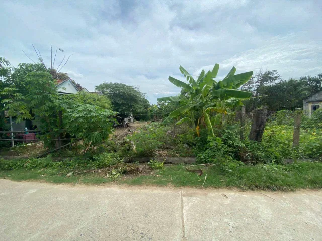 LH: 0938156791 Hiếu 
🔥 BÁN LÔ ĐẤT ĐẸP - GIÁ ĐẦU TƯ 🔥

🏡 Vị trí: Thôn Ninh Điền, xã Ninh Thọ, thị xã Ninh Hòa, tỉnh Khánh Hòa
📏 Diện tích: 292,8m² (10,5x30) 130m² thổ, phù hợp tách 2 lô.
📍 Lô góc vuông vức, mặt tiền rộng, giao thông thuận tiện
✅ Pháp
