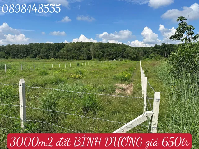 Bán đất 569m² 650 triệu tại Xã An Linh Huyện Phú Giáo