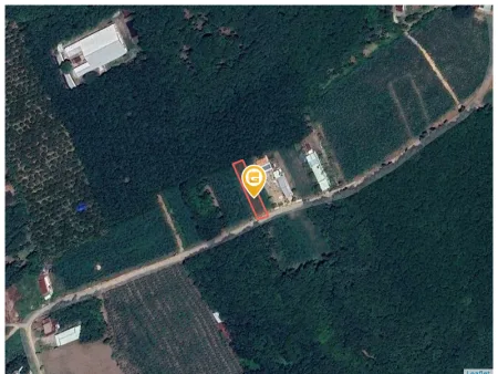 Bán đất 569m² 650 triệu tại Xã An Linh Huyện Phú Giáo