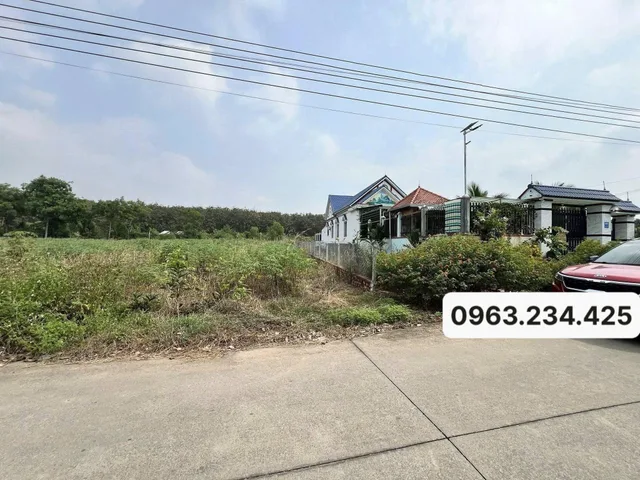 Bán đất 139.4m² 650 triệu tại Xã An Linh Huyện Phú Giáo
