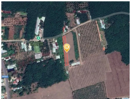 Bán đất 965.3m² tại Xã An Linh Huyện Phú Giáo