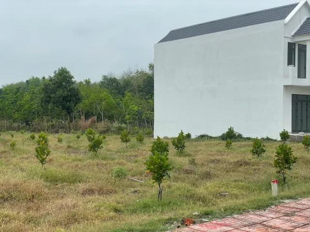 Bán đất 479.1m² tại Xã An Linh Huyện Phú Giáo