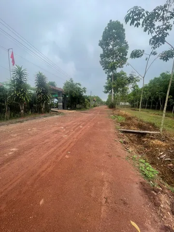 Bán đất 491.1m² tại Xã An Linh Huyện Phú Giáo