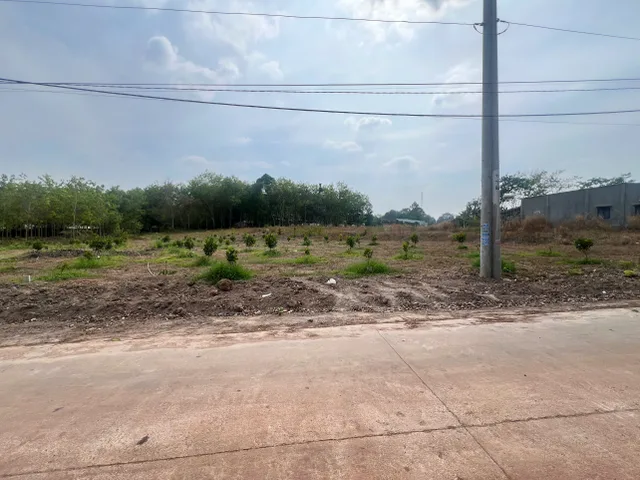 Bán đất 306.9m² tại Xã An Linh Huyện Phú Giáo