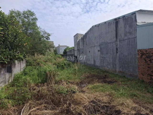 Bán đất 288m² tại Xã An Linh Huyện Phú Giáo