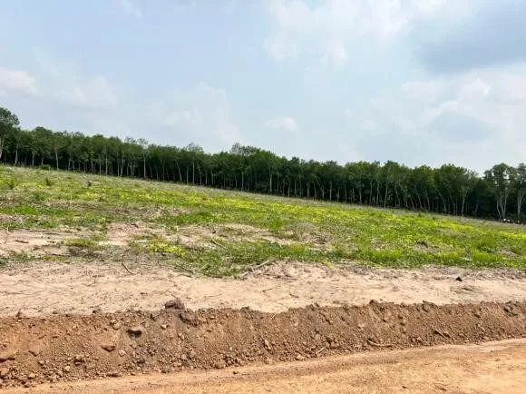500-1000m2 giá rẻ tại Phường Minh Thành rẻ nhất khu vực