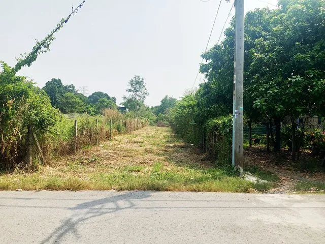 Bán đất nền, 338 m², Củ Chi