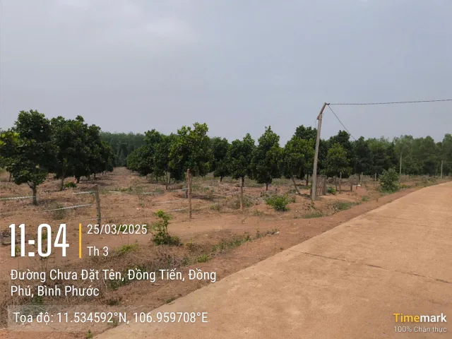 Bán đất 1000m² 370 triệu tại Xã Đồng Tiến Huyện Đồng Phú