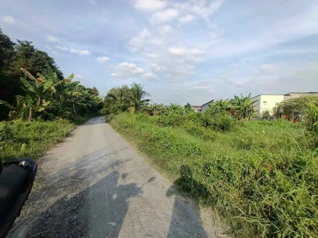 4045m2 (full thổ cư) MT Đ. Sông Rạch Dứa trải đá chỉ giới 10m, Bình Mỹ Củ Chi, thích hợp kho xưởng