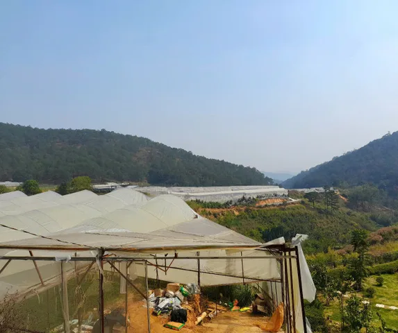 Bán đất view đồi thông gần trung tâm Đà Lạt, đi Hồ Xuân Hương hơn 10p