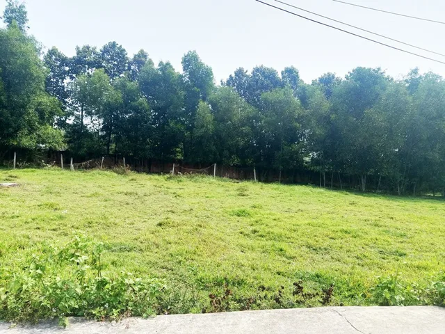 Land for sale, 120 m², Củ Chi