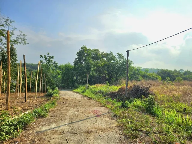 Bán đất 180m² giá 195 triệu dân ở xung quanh