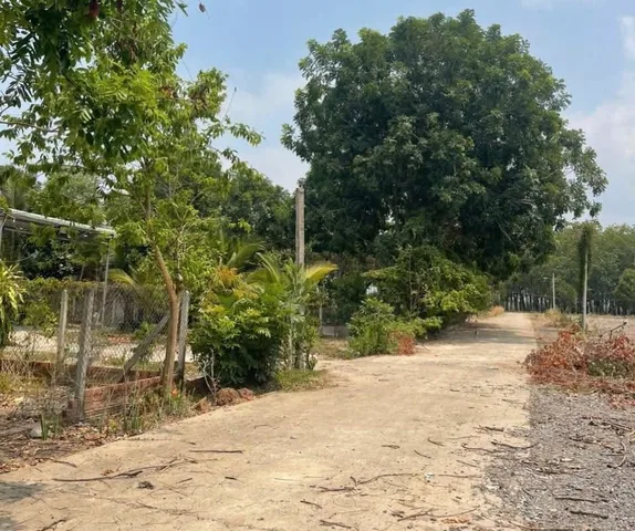 Bán đất 400m² thổ cư 100m2 giá 195 triệu