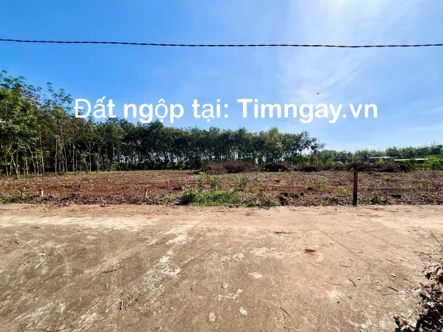 Bán đất 204.7m² 220 triệu tại Xã Phước An Huyện Hớn Quản