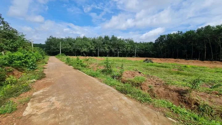 Bán đất 197.7m² Tc50m2 giá 190triệu tại An Lộc Thị xã Bình Long