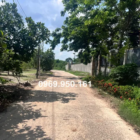 CHÍNH CHỦ CẦN BÁN 1.065M2 THỔ CƯ 300M2 GẦN KCN BECAMEX GIÁ 330 TRIỆU