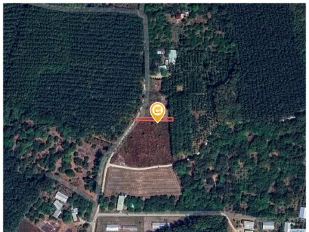 Bán đất 248.7m² 290 triệu tại Xã Thanh Lương Thị xã Bình Long