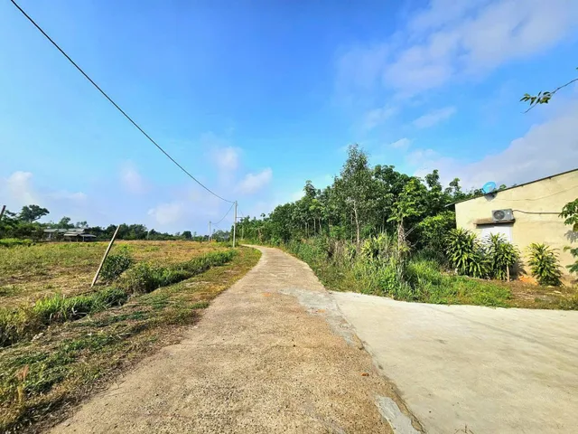 Bán đất 204.8m² 190 triệu tại Xã Thanh Lương Thị xã Bình Long