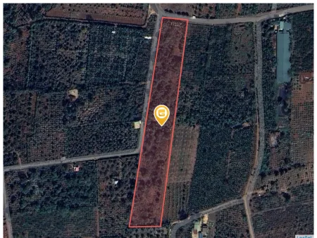 Bán đất 12802.7m² ngang 300m giá 20 tỷ tại Xã Hòa Thắng Thành phố Buôn Ma Thuột