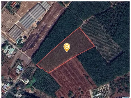 Bán đất 2500m² 8.75 tỷ tại Xã Long Phước Huyện Long Thành