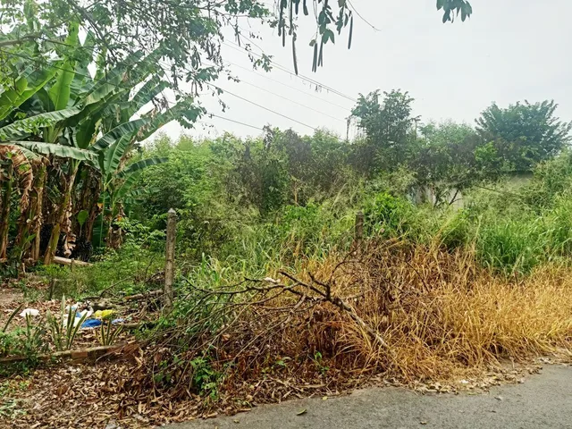 Bán đất nền, 210 m², Củ Chi
