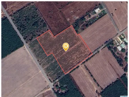 Bán đất 25000m² 137.5 tỷ tại Xã Long Phước Huyện Long Thành