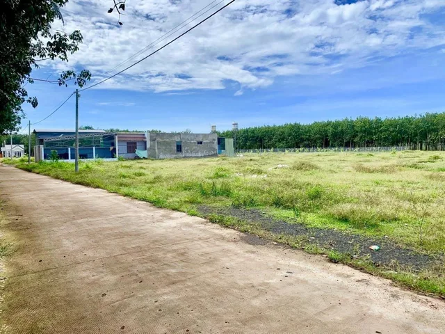 Bán 5 lô 25x50=1250m² 480 triệu quốc lộ 14 vào 500m sát chợ 0938889035