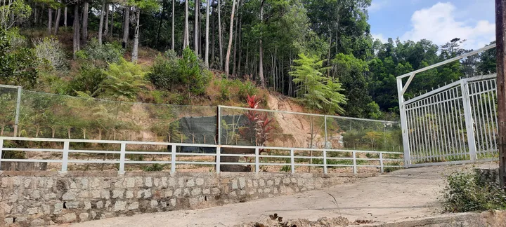 Bán Đất 2000m2 (39m ngang mặt tiền đường bê tông) giá 6.8 tỷ có thương lượng tại Đường Mimosa - Phường 10 Thành phố Đà Lạt Lâm Đồng