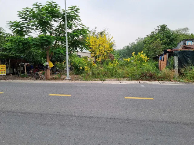 (B467) Đất mặt tiền Nguyễn Thị Nê, xã Phú Hòa Đông, dt 1.067m2, giá 9 tỷ 500 thương lượng