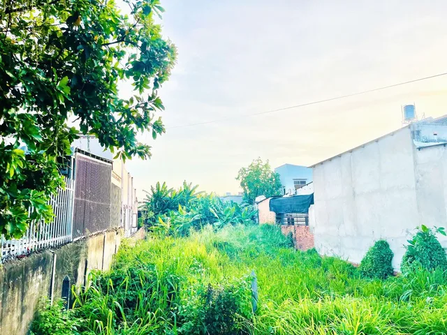 Bán đất nền, 499 m², Củ Chi