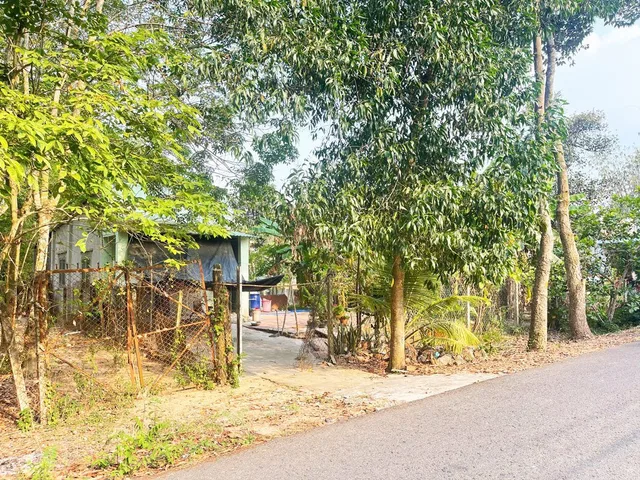 Bán nhà vườn đường 695 - 597m2 - 14x43 - 300m2 thổ cư - xã Thái Mỹ - Củ Chi